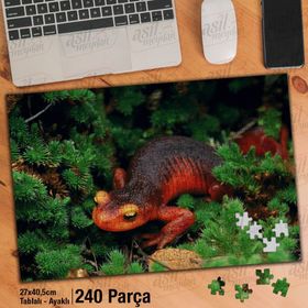 Asil Hobi Amazon-Kertenkele-Vahşi Yaşam Doğa Yapboz-Ayak Destekli Çerçeveli 240 Parça Puzzle