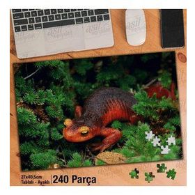 Asil Hobi Amazon-Kertenkele-Vahşi Yaşam Doğa Yapboz-Ayak Destekli Çerçeveli 240 Parça Puzzle