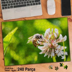 Asil Hobi Arı-Beyaz Yonca Çiçek Çalışması-Tabiat-Yapboz-Ayak Destekli 240 Parça Puzzle