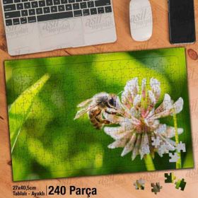Asil Hobi Arı-Beyaz Yonca Çiçek Çalışması-Tabiat-Yapboz-Ayak Destekli 240 Parça Puzzle