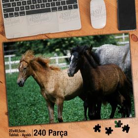 Asil Hobi Atlar-Kısrak-Hayvan-Doğa 240 Parça Puzzle-Yapboz