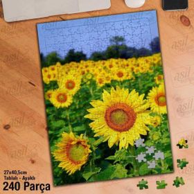 Asil Hobi Ayçiçeği-Tarla-Bitki-Peyzaj-Doğa Yapboz-Ayak Destekli Çerçeveli 240 Parça Puzzle