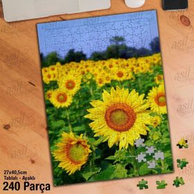 Asil Hobi Ayçiçeği-Tarla-Bitki-Peyzaj-Doğa Yapboz-Ayak Destekli Çerçeveli 240 Parça Puzzle