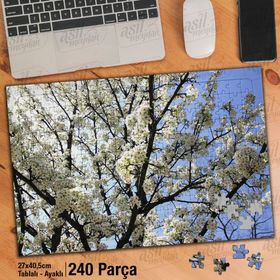 Asil Hobi Bahar-Çiçek Açmış Ağaç Dalları-Doğa Yapboz-Ayak Destekli Çerçeveli 240 Parça Puzzle