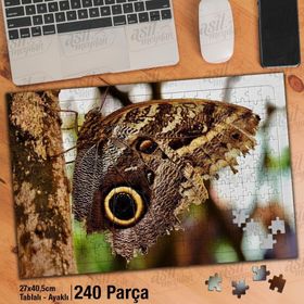 Asil Hobi Baykuş Kelebek-Ağaç-Doğa-Tabiat Yapboz-Ayak Destekli Çerçeveli 240 Parça Puzzle