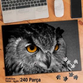 Asil Hobi Baykuş-Yırtıcı Kuş-Vahşi Hayvan Yapboz-Ayak Destekli Çerçeveli 240 Parça Puzzle