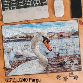 Asil Hobi Beyaz Kuğu-Sahil Kenarı-Kuş-Doğa-Manzara-Yapboz-Ayak Destekli 240 Parça Puzzle