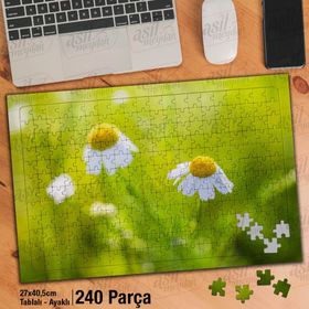 Asil Hobi Beyaz Papatyalar-Kır Çiçeği-Doğa-Naturel-Yapboz-Ayak Destekli 240 Parça Puzzle