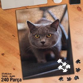 Asil Hobi British Shorthair-Sevimli Kedi-Hayvan Yapboz-Ayak Destekli Çerçeveli 240 Parça Puzzle