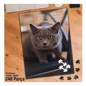 Asil Hobi British Shorthair-Sevimli Kedi-Hayvan Yapboz-Ayak Destekli Çerçeveli 240 Parça Puzzle