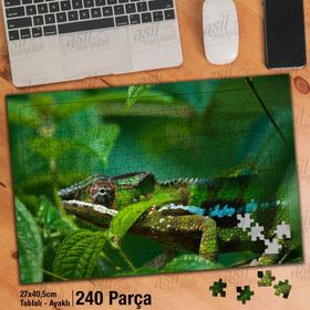 Asil Hobi Bukalemun-Amazon-Orman-Hayvan Yapboz-Ayak Destekli Çerçeveli 240 Parça Puzzle