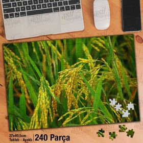 Asil Hobi Çeltik Pirinç Alanı-Bitki-Tarla Yapboz-Ayak Destekli Çerçeveli 240 Parça Puzzle