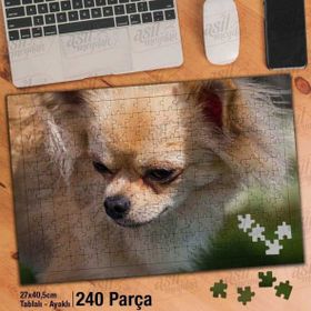 Asil Hobi Chihuahua-Sarı Tüylü Köpek-Hayvan Yapboz-Ayak Destekli Çerçeveli 240 Parça Puzzle