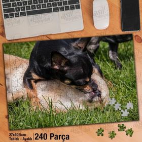 Asil Hobi Chihuahua-Sevimli Köpekler-Oyun-Çimen Yapboz-Ayak Destekli Çerçeveli 240 Parça Puzzle