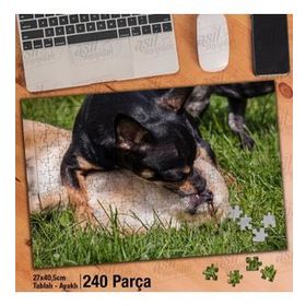 Asil Hobi Chihuahua-Sevimli Köpekler-Oyun-Çimen Yapboz-Ayak Destekli Çerçeveli 240 Parça Puzzle