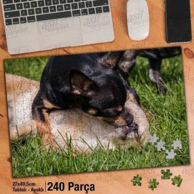 Asil Hobi Chihuahua-Sevimli Köpekler-Oyun-Çimen Yapboz-Ayak Destekli Çerçeveli 240 Parça Puzzle