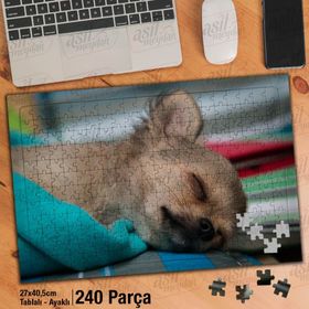 Asil Hobi Chihuahua-Uyuyan Sevimli Köpek-Hayvan Yapboz-Ayak Destekli Çerçeveli 240 Parça Puzzle
