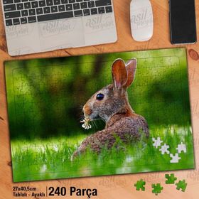 Asil Hobi Çimenlerin Üzerinde Yabani Tavşan-Doğa Yapboz-Ayak Destekli Çerçeveli 240 Parça Puzzle