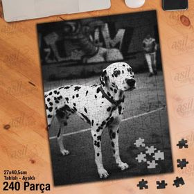 Asil Hobi Dalmaçya Köpeği-Sevimli Hayvan Yapboz-Ayak Destekli Çerçeveli 240 Parça Puzzle
