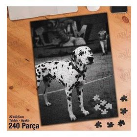 Asil Hobi Dalmaçya Köpeği-Sevimli Hayvan Yapboz-Ayak Destekli Çerçeveli 240 Parça Puzzle