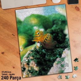 Asil Hobi Deniz Canlıları-Hayvan-Doğa Yapboz-Ayak Destekli Çerçeveli 240 Parça Puzzle