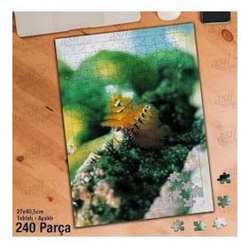 Asil Hobi Deniz Canlıları-Hayvan-Doğa Yapboz-Ayak Destekli Çerçeveli 240 Parça Puzzle