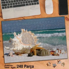 Asil Hobi Deniz Kabuğu-Deniz Kestanesi-Manzara Yapboz-Ayak Destekli Çerçeveli 240 Parça Puzzle