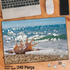Asil Hobi Deniz Kabuğu-Sahil-Manzara-Doğa Yapboz-Ayak Destekli Çerçeveli 240 Parça Puzzle