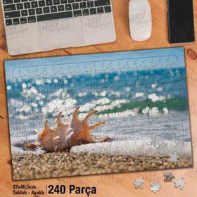 Asil Hobi Deniz Kabuğu-Sahil-Manzara-Doğa Yapboz-Ayak Destekli Çerçeveli 240 Parça Puzzle
