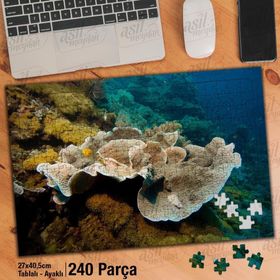 Asil Hobi Deniz-Okyanus-Manzara-Balıklar Yapboz-Ayak Destekli Çerçeveli 240 Parça Puzzle