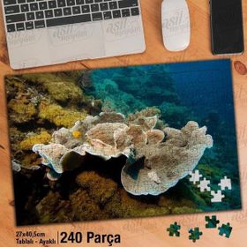 Asil Hobi Deniz-Okyanus-Manzara-Balıklar Yapboz-Ayak Destekli Çerçeveli 240 Parça Puzzle