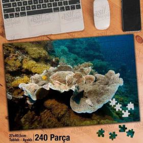 Asil Hobi Deniz-Okyanus-Manzara-Balıklar Yapboz-Ayak Destekli Çerçeveli 240 Parça Puzzle