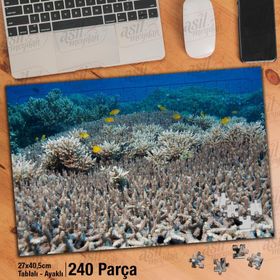 Asil Hobi Denizaltı-Okyanus-Canlılar-Balıklar Yapboz-Ayak Destekli Çerçeveli 240 Parça Puzzle