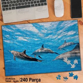 Asil Hobi Denizdeki Yunus Balığı Sürüsü-Hayvanlar Yapboz-Ayak Destekli Çerçeveli 240 Parça Puzzle