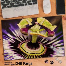Asil Hobi Desenli Çiçek-Bitki-Passiflora-Çiçek Yapboz-Ayak Destekli Çerçeveli 240 Parça Puzzle