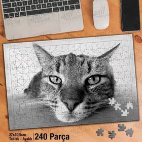 Asil Hobi Dikkatle Bakan Kedi-Sevimli Hayvanlar Yapboz-Ayak Destekli Çerçeveli 240 Parça Puzzle
