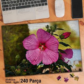 Asil Hobi Ebegümeci-Pembe Çiçek-Bitki-Doğa Yapboz-Ayak Destekli Çerçeveli 240 Parça Puzzle