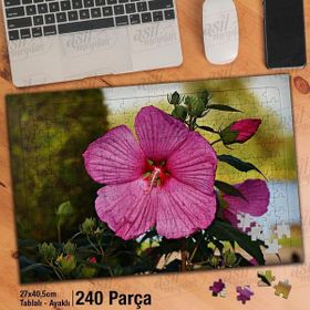 Asil Hobi Ebegümeci-Pembe Çiçek-Bitki-Doğa Yapboz-Ayak Destekli Çerçeveli 240 Parça Puzzle