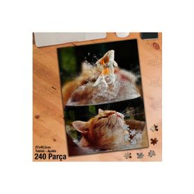 Asil Hobi Fanus-Süs Balığı-Sarı Tüylü Kedi Yapboz-Ayak Destekli Çerçeveli 240 Parça Puzzle