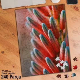 Asil Hobi Flower-Çiçek-Pembe-Bitki-Peyzaj Yapboz-Ayak Destekli Çerçeveli 240 Parça Puzzle