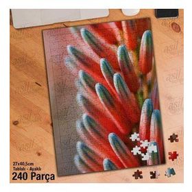 Asil Hobi Flower-Çiçek-Pembe-Bitki-Peyzaj Yapboz-Ayak Destekli Çerçeveli 240 Parça Puzzle