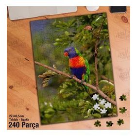 Asil Hobi Gökkuşağı-Lori-Papağan-Renkli Kuş Yapboz-Ayak Destekli Çerçeveli 240 Parça Puzzle