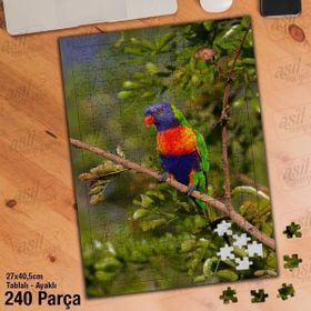 Asil Hobi Gökkuşağı-Lori-Papağan-Renkli Kuş Yapboz-Ayak Destekli Çerçeveli 240 Parça Puzzle