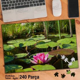 Asil Hobi Göl-Nilüfer-Yeşil Yapraklar-Doğa Yapboz-Ayak Destekli Çerçeveli 240 Parça Puzzle