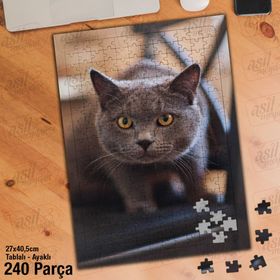 Asil Hobi Gri-Kahverengi Gözlü Sevimli Kedi Yapboz-Ayak Destekli 240 Parça Puzzle