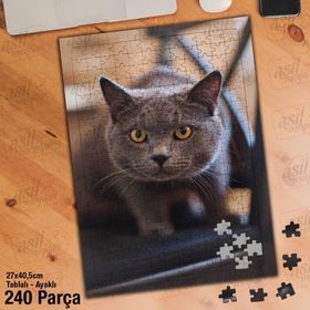Asil Hobi Gri-Kahverengi Gözlü Sevimli Kedi Yapboz-Ayak Destekli 240 Parça Puzzle