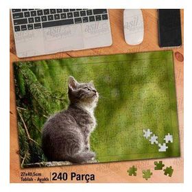 Asil Hobi Gri Sevimli Yavru Kedi-Doğa Yapboz-Ayak Destekli Çerçeveli 240 Parça Puzzle