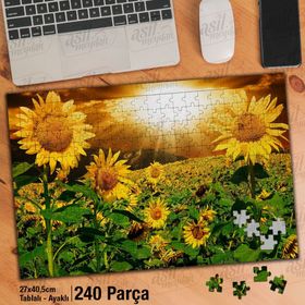 Asil Hobi Gün Batımı-Ayçiçeği-Tarla-Doğa-Manzara Yapboz-Ayak Destekli 240 Parça Puzzle
