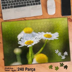 Asil Hobi Güzel Çiçek-Papatya-Doğa-Naturel-Yapboz-Ayak Destekli 240 Parça Puzzle