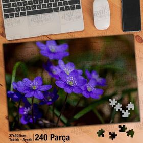 Asil Hobi Hepatica-Mor Çiçek-Bitki-Doğa Yapboz-Ayak Destekli Çerçeveli 240 Parça Puzzle